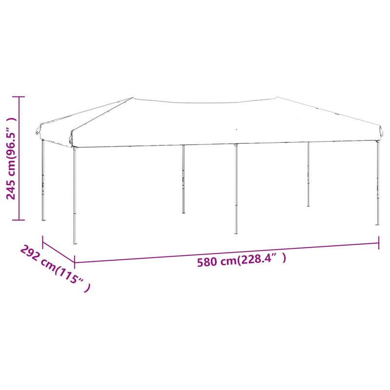 Folding Party Tent with Sidewalls Anthracite 3x6 m