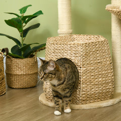 PawHut Cat Tree Activity Centre, with Cattail, Bed, Cat House, Sisal Post, Ball - Natural Tone