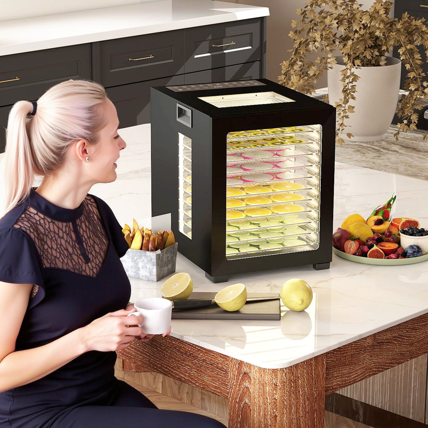 HOMCOM Food Dehydrator with 12 Stainless Steel Tray, 850W Food Dryer Machine with LED Touch Panel, 40-70√¢‚Äû∆í Adjustable Temperature, 48H Timer for Drying Fruit, Meat, Vegetable, Jerky, Pet Treat, Black