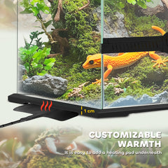 PawHut 40L Vivarium for Lizards, Frogs, Snakes, Turtles, Tortoises w/ Anti-Escape Design, Ventilation