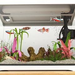 PawHut 17L Glass Fish Tank with Filter System, LED Light, Water Pump, for Betta, Goldfish, Shrimps, White