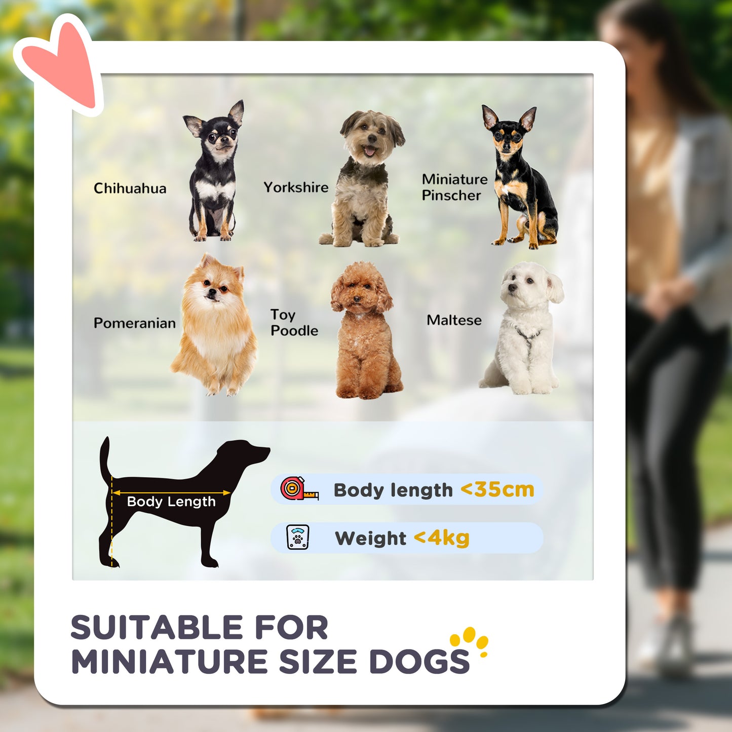 PawHut 3 in 1 Pet Stroller, Folding 4 Wheels Dog Pram with Detachable Carrier for Mini Dogs Cats, Black