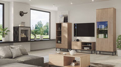 Querty 04 TV Cabinet 101cm