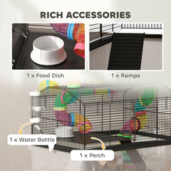 PawHut 2 Tier Hamster Cage with 31cm Deep Tray, Tube System, Water Bottle, Ramp, Feeding Bowl, 58 x 43 x 57cm, Multicolour