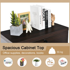 Lockable File Cabinets with 2 Drawers and Adjustable Hanging Bar-Coffee