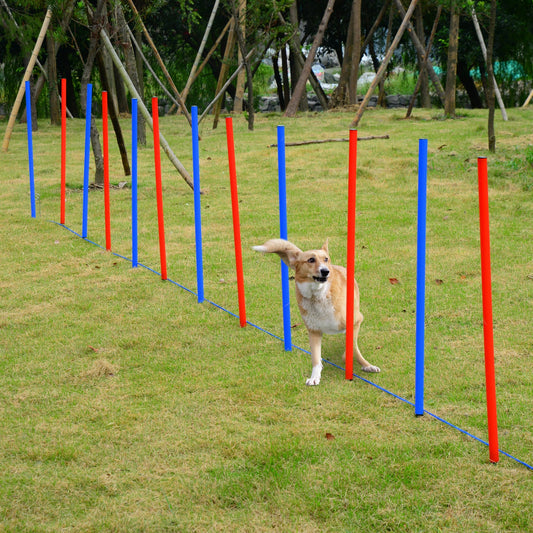 مجموعة تدريب الطاعة للكلاب من PawHut Pet Agility Training Equipment قابلة للتعديل (أقطاب)