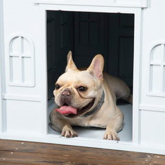 PawHut Plastic Weather-Resistant Dog House, for Indoors and Outdoors, Medium Dogs - White and Blue