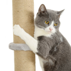 PawHut 4-Piece Cat Shelves w/ Scratching Post, Steps, Jumping Platform, Ladder, Toy Balls, for Indoor Cats, Light Grey