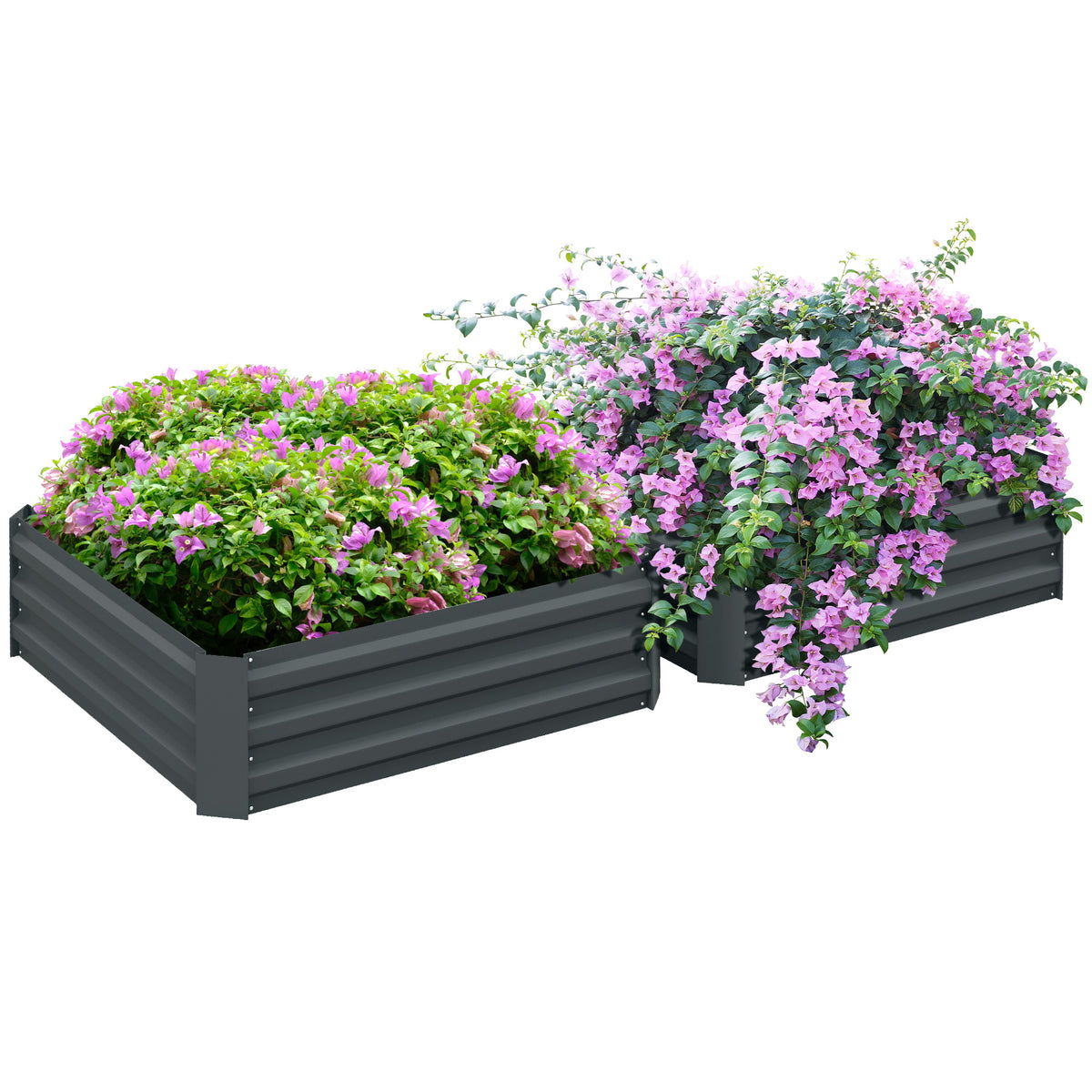 Outsunny Set of 2 291L Raised Garden Bed, Elevated Galvanised Planter Box for Flowers, Herbs, 100x100x30cm, Dark Grey