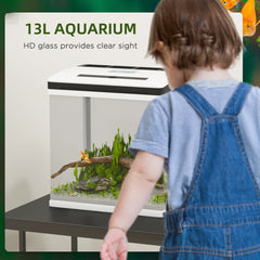 PawHut 13L Glass Aquarium Fish Tank with Filter, LED Lighting, for Betta, Guppy, Mini Parrot Fish, Shrimp, 29 x 20 x 30.5cm