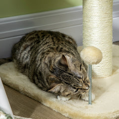 PawHut 51cm Cat Tree Kitten Tower, with Sisal Scratching Post, Top Bed, Toy Ball