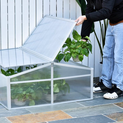 100L X 100W Cm 100cm PC Board Greenhouse - Transparent