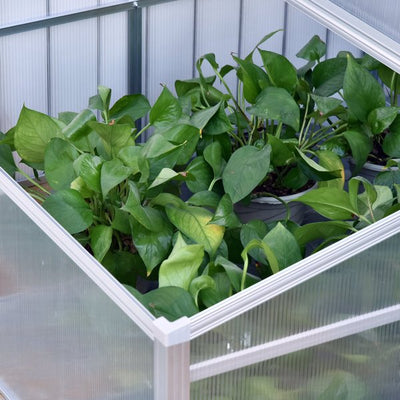 100L X 100W Cm 100cm PC Board Greenhouse - Transparent