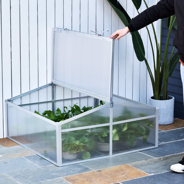 100L X 100W Cm 100cm PC Board Greenhouse - Transparent