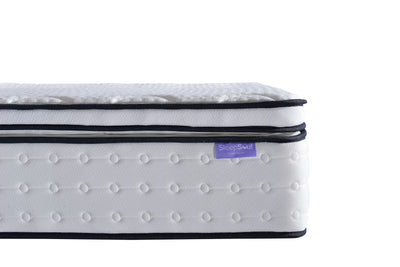 SleepSoul Space Mattress